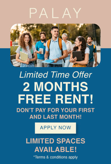 promotion